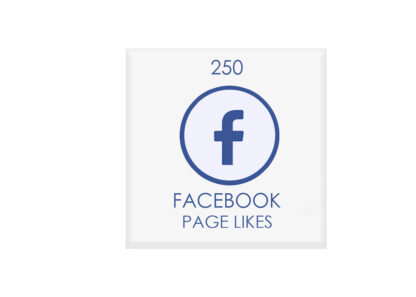 250 facebook PAGE likes